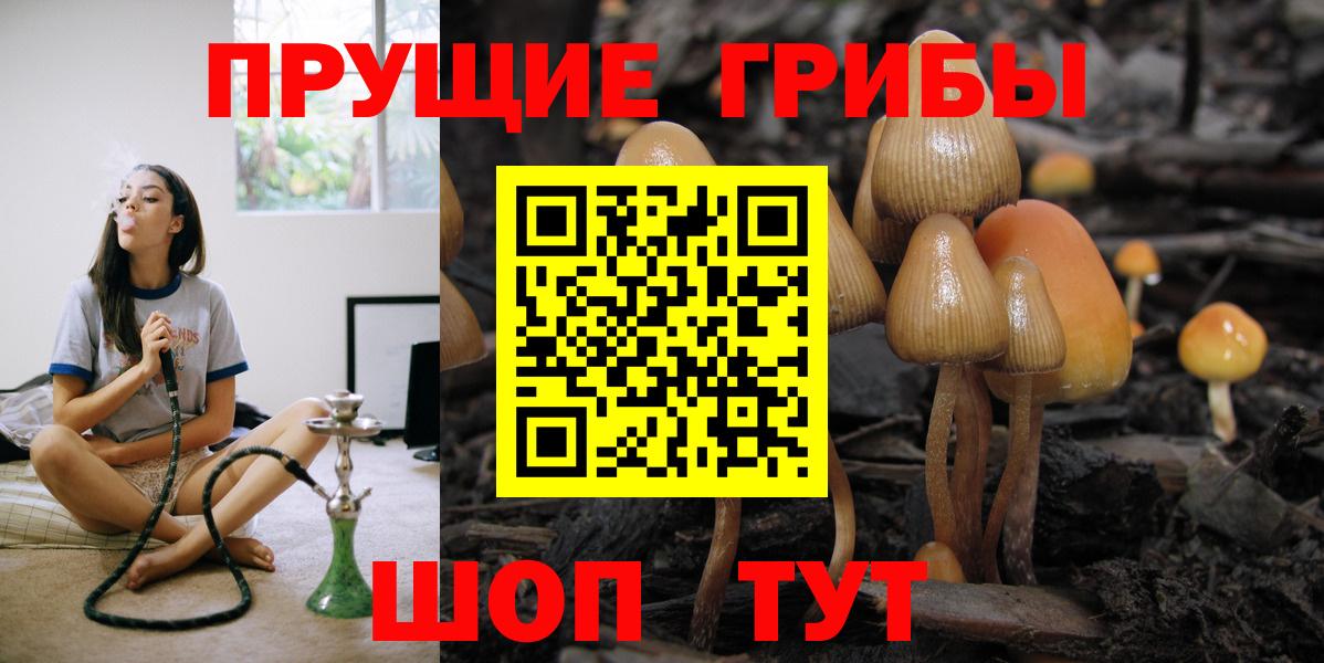 Псилоцибиновые грибы Psilocybe  Вход с VPN  Псилоцибиновые грибы ЛСД  Калуга 